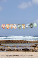 Lassig Majteczki pieluszka do pływania Splash & Fun Deski surfingowe sea salt