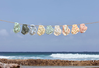 Lassig Majteczki pieluszka do pływania Splash & Fun Deski surfingowe sea salt