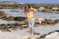 Lassig Koszulka z filtrem UV60 z krótkim rękawem Splash & Fun Deski surfingowe vanilla